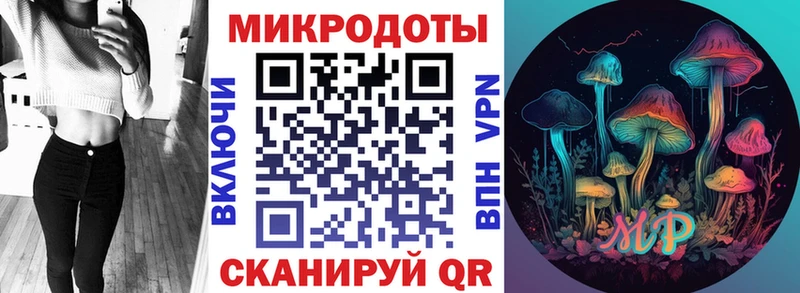 Псилоцибиновые грибы Psilocybe  Красный Холм 