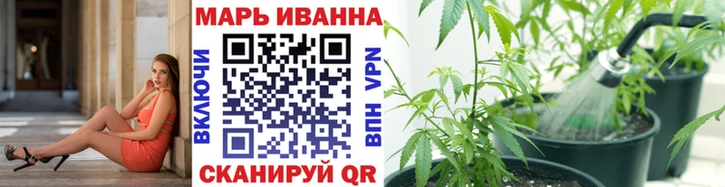 Канабис сатива  Красный Холм 